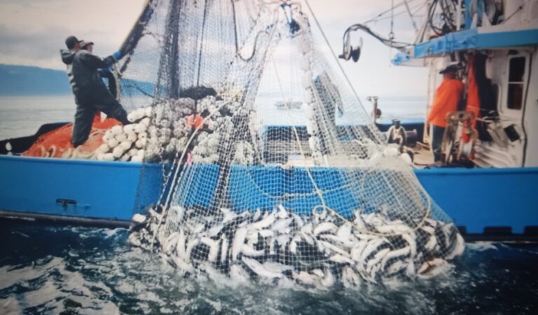 Vantaggi e criticità dell’assegnazione delle quote di tonno rosso alla pesca artigianale”: seminario di Confsal pesca con ‘Oceanis Srl’